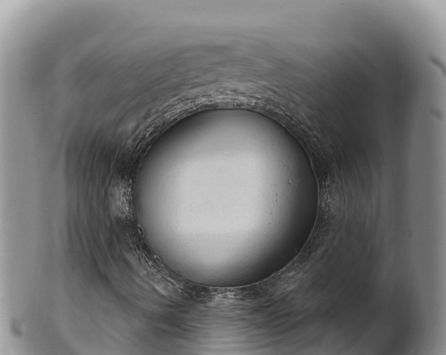 X0000102241490200808011236