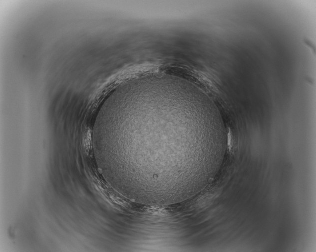 X0000102241492200808011236