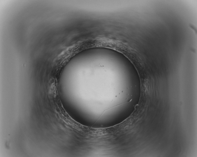 X0000102241493200808011236