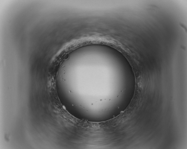 X0000102241495200808011236