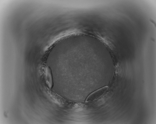 X0000102241496200808011236