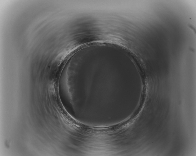 X0000102241497200808011236