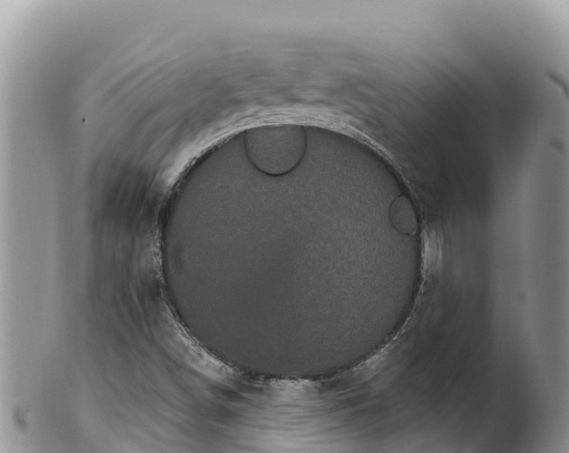 X0000102241498200808011236