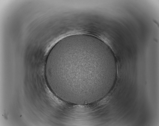 X0000102241500200808011236