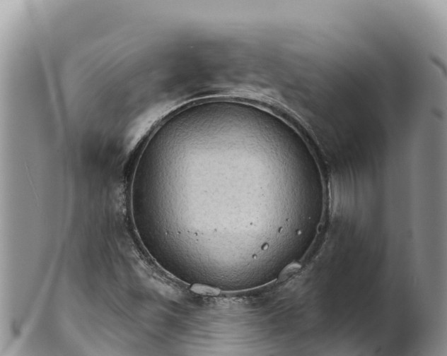 X0000102241501200808011236