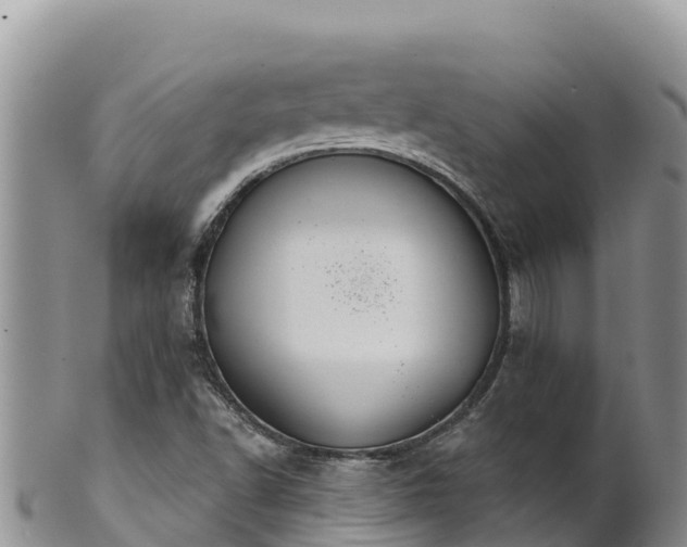 X0000102241502200808011236