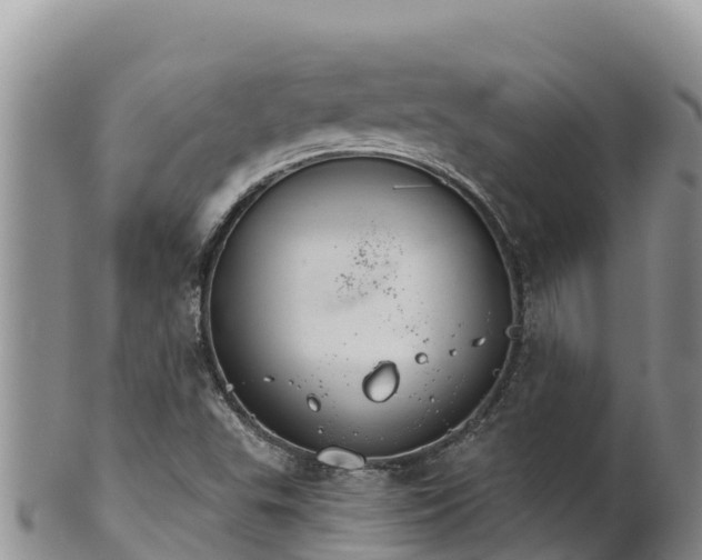 X0000102241503200808011236