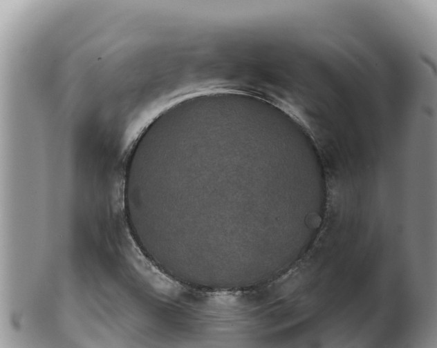 X0000102241504200808011236