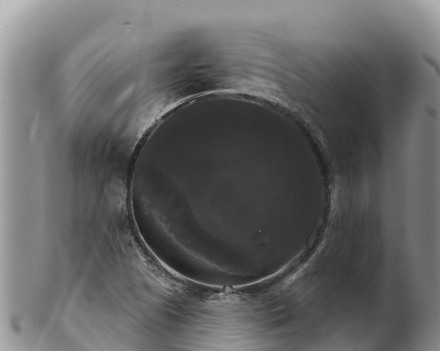 X0000102241505200808011236