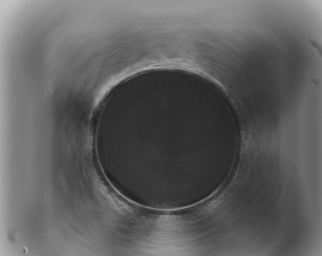 X0000102241506200808011236