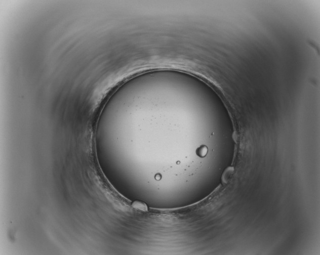 X0000102241507200808011236