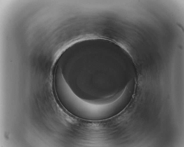 X0000102241508200808011236