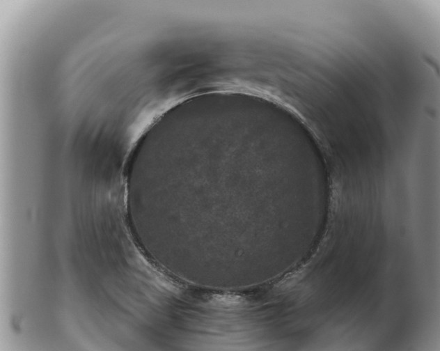 X0000102241509200808011236