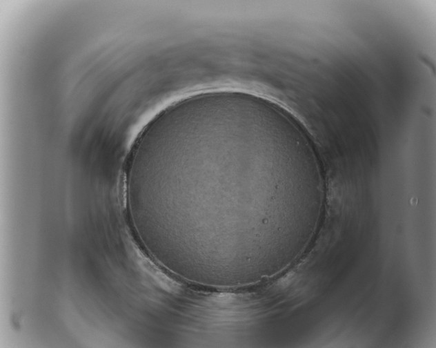 X0000102241510200808011236