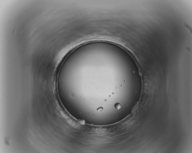 X0000102241511200808011236