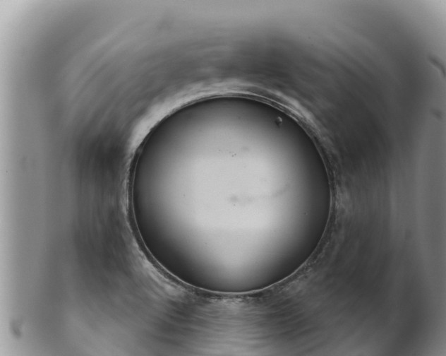 X0000102241512200808011236