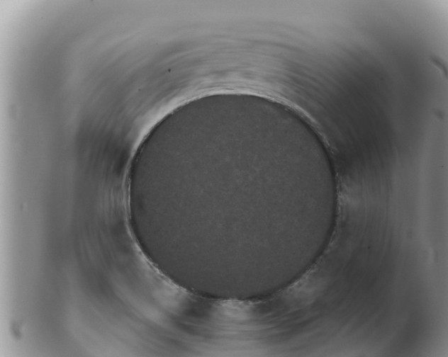 X0000102241514200808011236