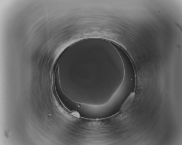 X0000102241515200808011236