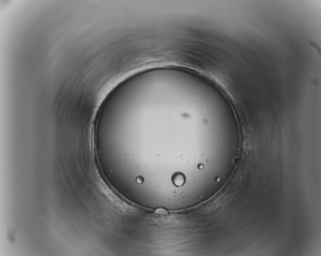 X0000102241516200808011236