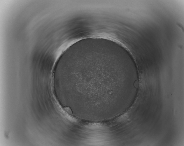 X0000102241517200808011236