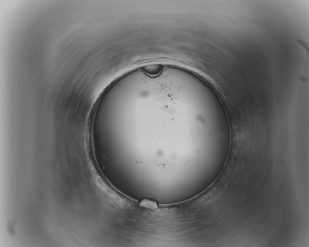 X0000102241518200808011236