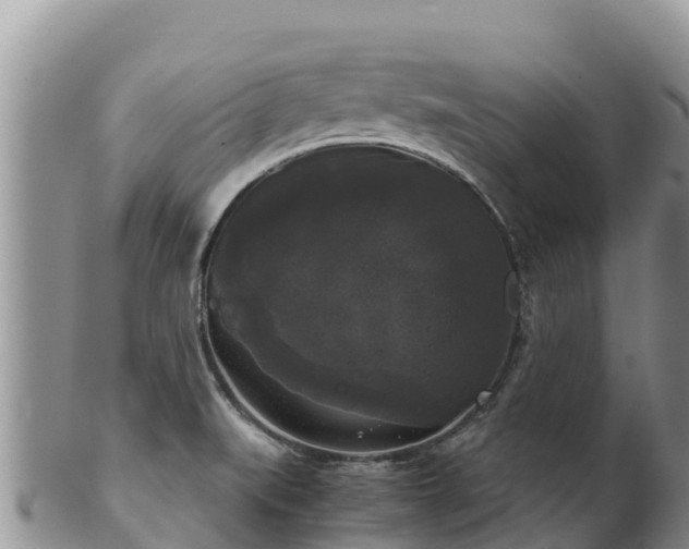 X0000102241519200808011236