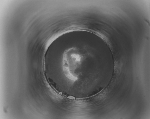 X0000102241520200808011236