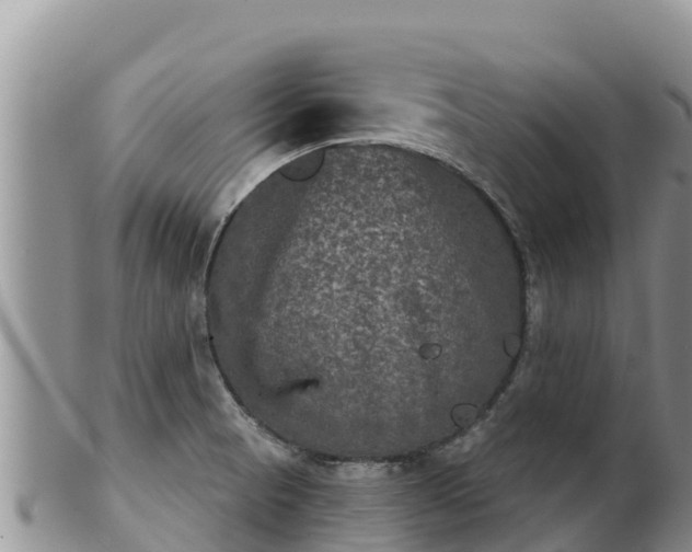 X0000102241521200808011236