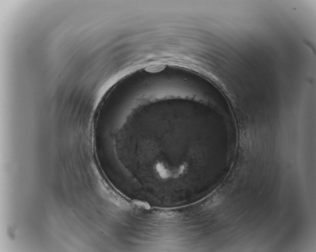 X0000102241522200808011236