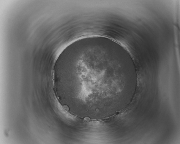 X0000102241524200808011236