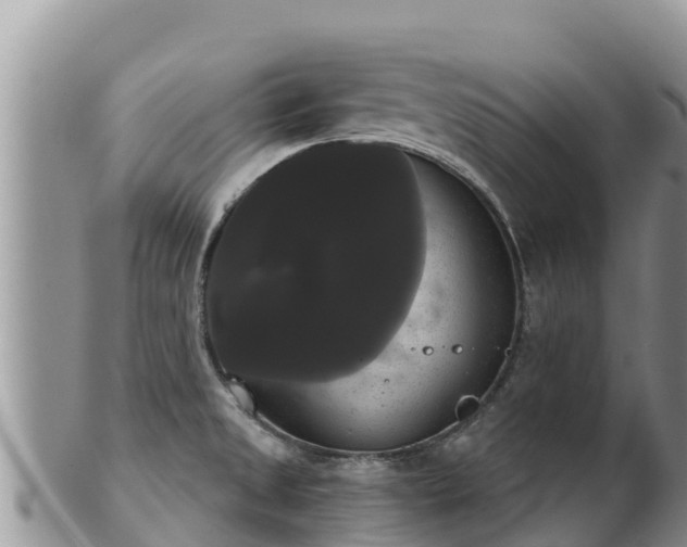 X0000102241525200808011236