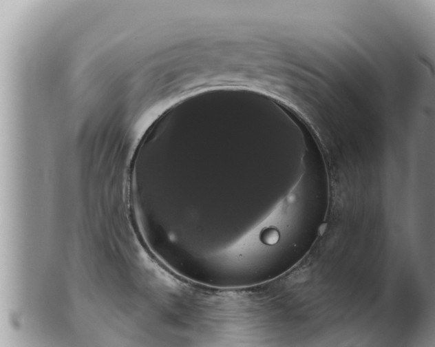 X0000102241527200808011236