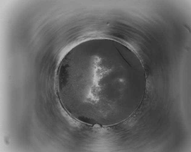 X0000102241528200808011236