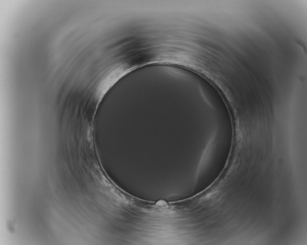 X0000102241529200808011236