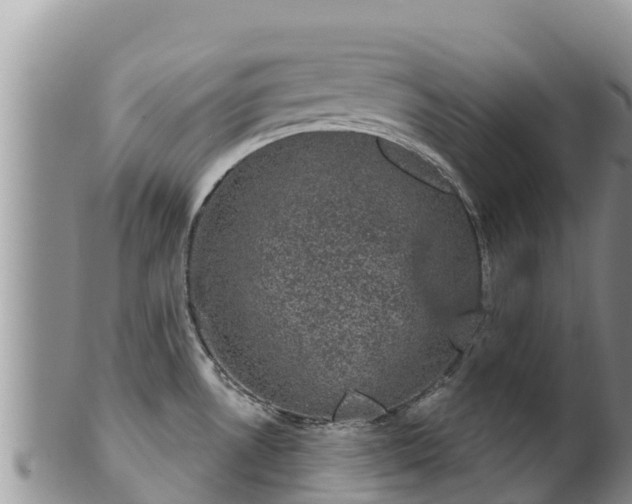 X0000102241530200808011236