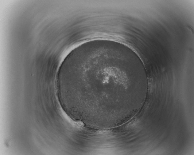 X0000102241531200808011236