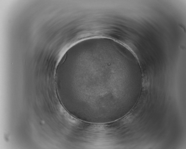 X0000102241532200808011236