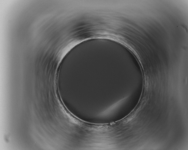 X0000102241533200808011236