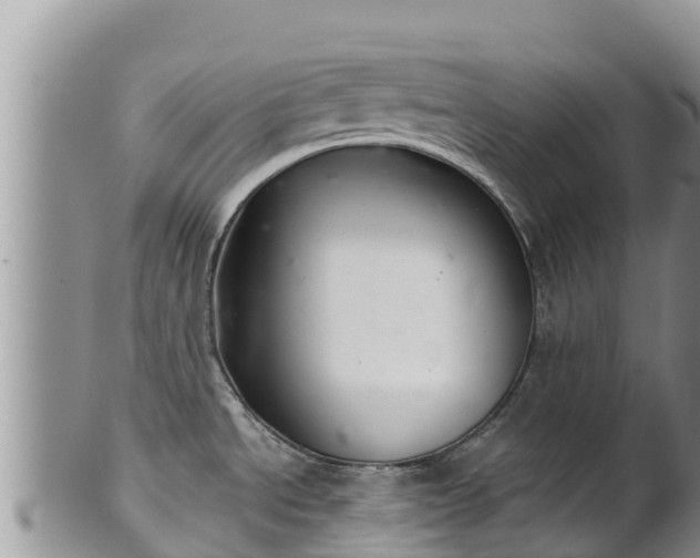 X0000102241534200808011236