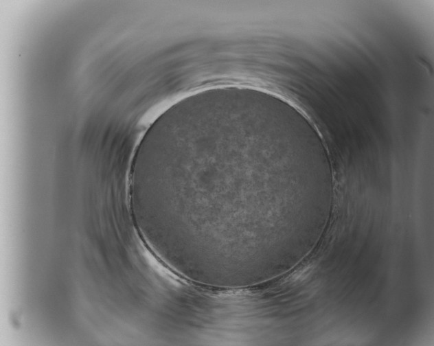 X0000102241535200808011236