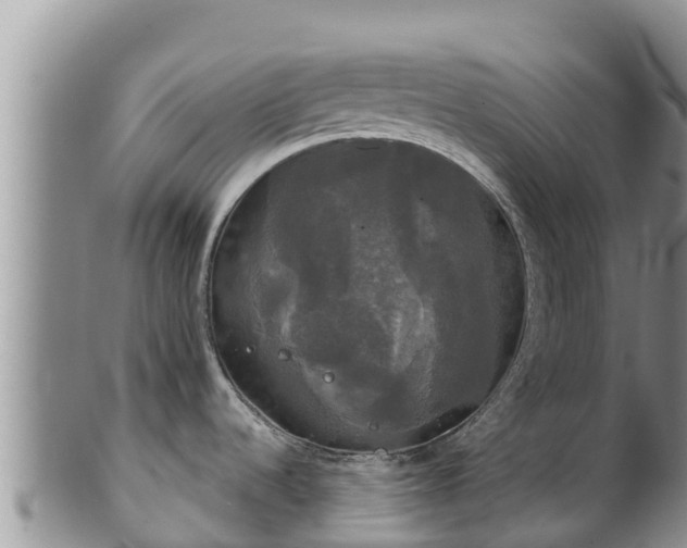 X0000102241536200808011236