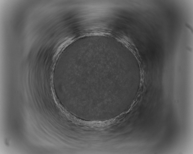 X0000102240001200808081447