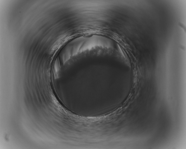 X0000102240002200808081447