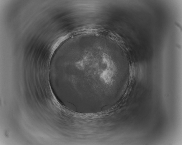 X0000102240003200808081447