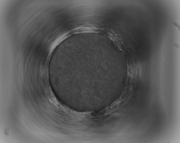 X0000102240004200808081447