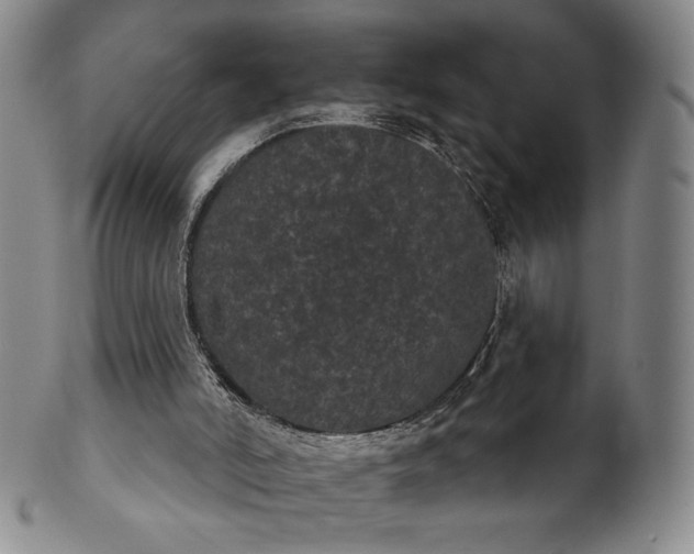 X0000102240006200808081447