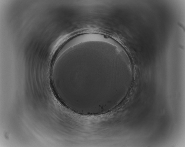 X0000102240007200808081447