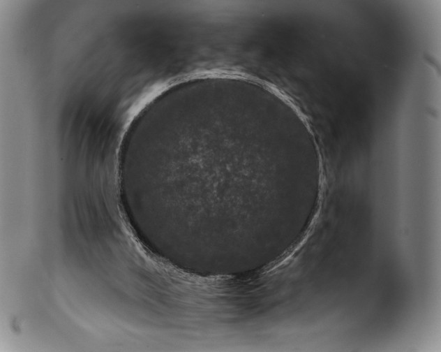 X0000102240008200808081447