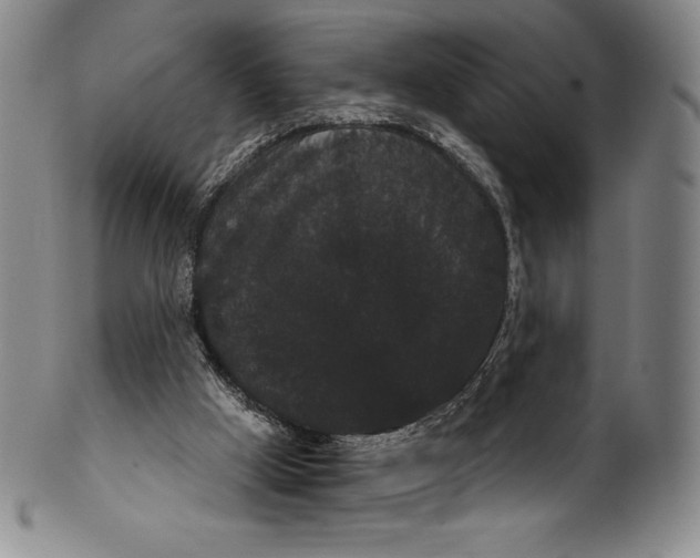 X0000102240009200808081447