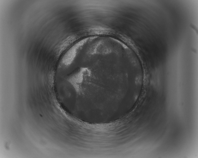 X0000102240010200808081447